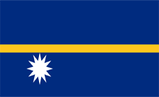 .nr瑙鲁域名